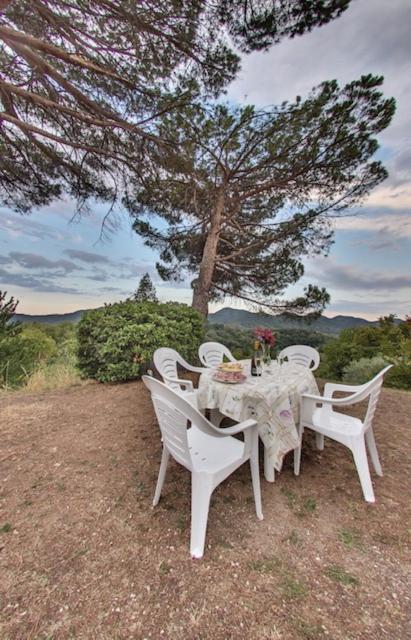 Tenuta da Mosè con vista sui colli asolani Monfumo Esterno foto